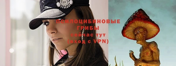 соль ск Абаза